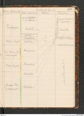 Seite 135, Tagebuch "Palästina (Tagebuch)" (NHMW-PRAE-BBB-80)